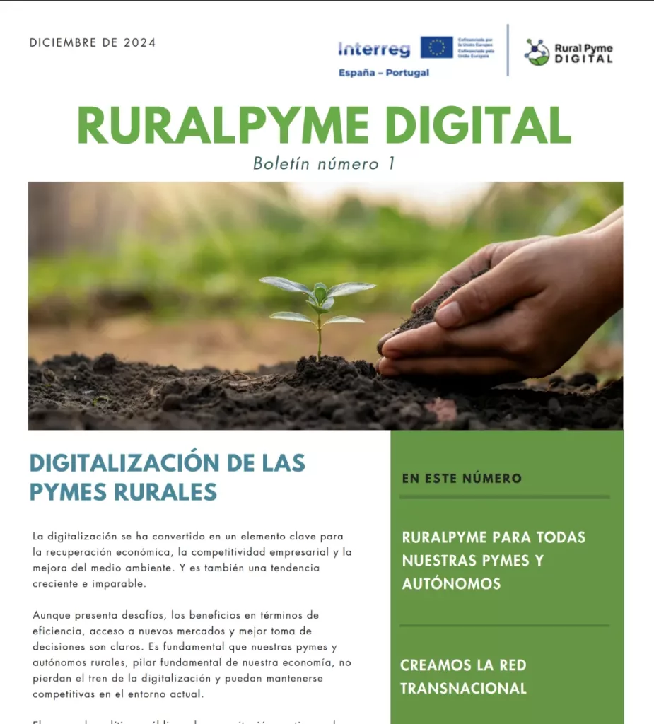 Diciembre 2024 ruralpymedigital aaa boletin informativo 01 es